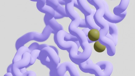 Molecular structure of a thiol redox protein (PDB: 6C29)