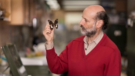 Expert entomologist Michael Braby with butterfly