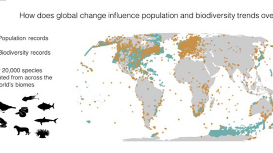 Individual And Combined Effects Of Global Change Drivers On ...