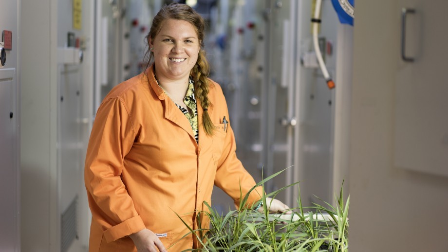 Master Programs In Biology Online Information Session Anu Research School Of Biology