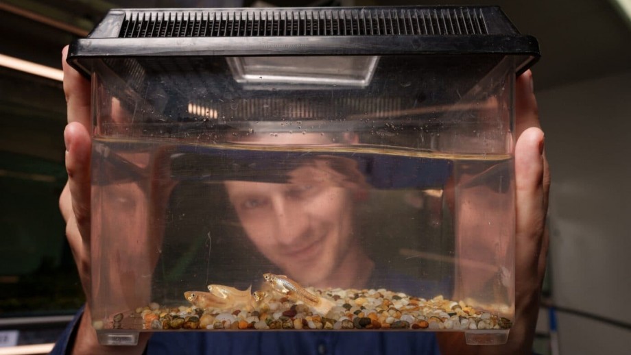 A man looking at a fish tank