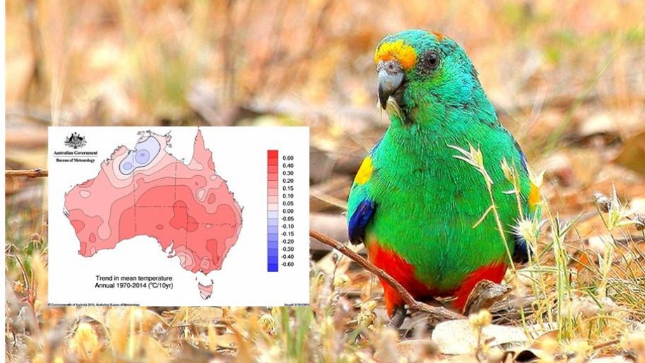 How Does Climate Change Affect Animals In Australia How Does Climate Change Affect Animals In Australia