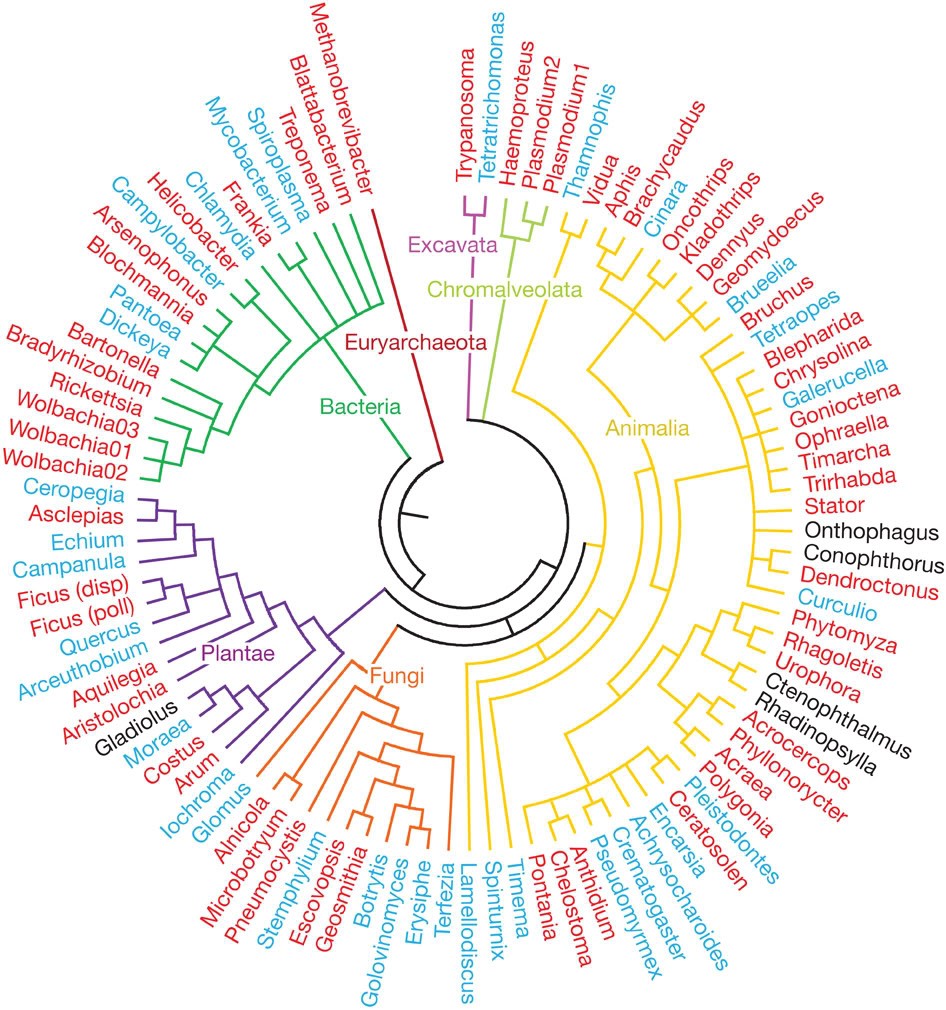 New Methods In Phylogenetics | ANU Research School Of Biology