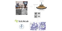 CryoEM process graphic