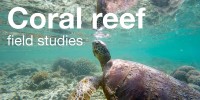 Coral Reef Field Studies