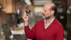 Expert entomologist Michael Braby with butterfly