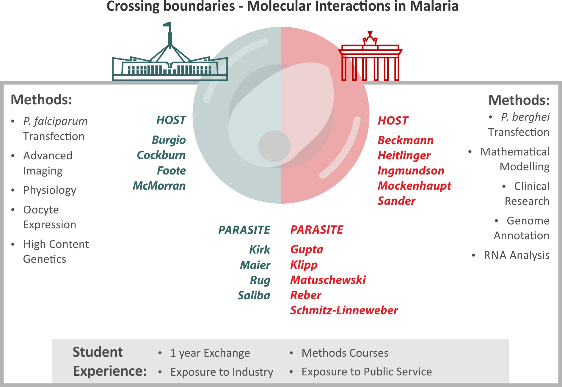 A diagram illustrating the "Crossing boundaries - Molecular Interactions in Malaria" project, showing research methods, participating institutions and teams, divided into host and parasite focus areas, with an overlay of two circles representing collaboration.