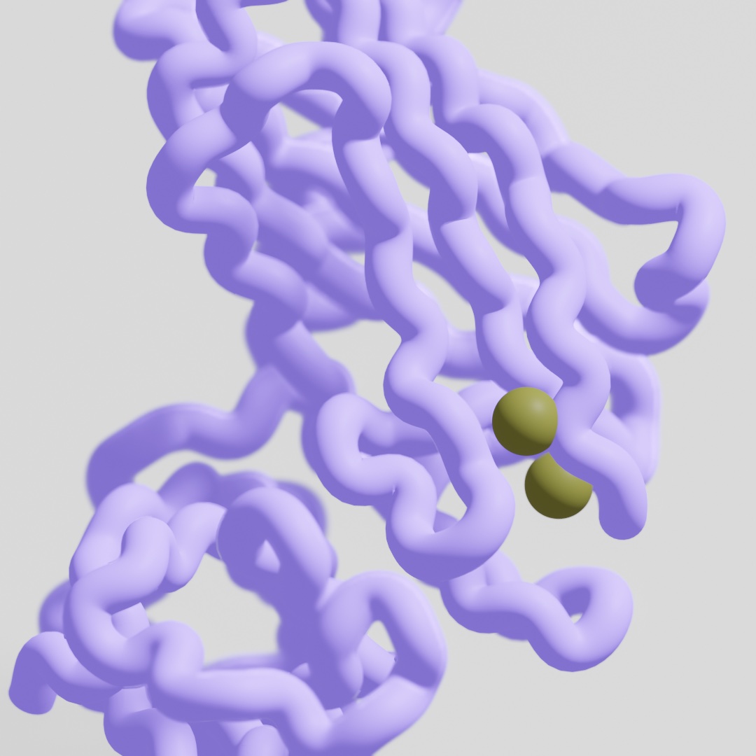 A 3D rendering of a tangled purple protein chain with two green molecules embedded within it.