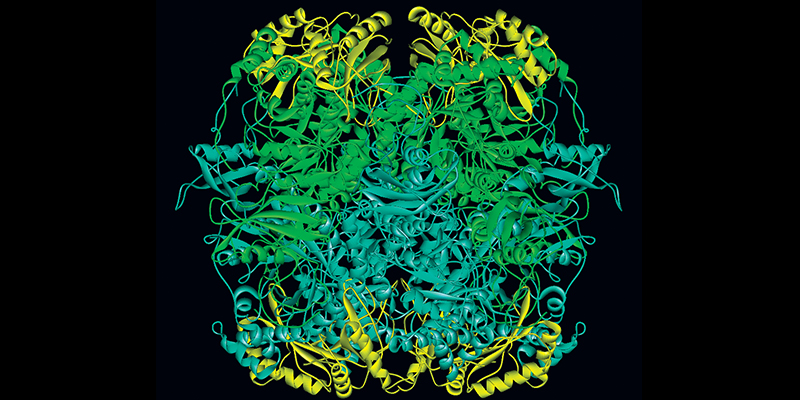 A digital illustration of a complex, detailed molecular structure in shades of green and yellow against a black background.