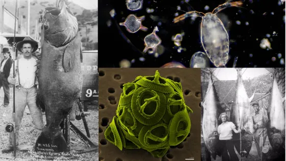 Image by Dustin Marshall