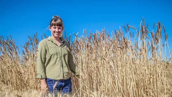 A woman standing in a field of tall, golden wheat under a clear blue sky.
