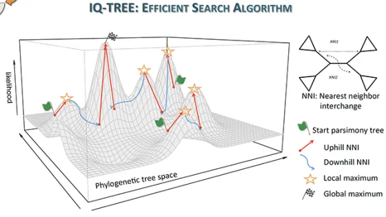 Illustration depicting the IQ-TREE efficient search algorithm, consisting of a 3D graph with various paths marked by arrows and stars, alongside a diagram explaining different components of the nearest neighbor interchange method.
