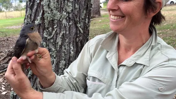 A smiling woman in a hat and outdoor shirt gently holds a small bird near a tree.
