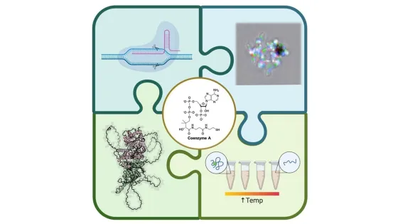Image supplied: Christine Liu