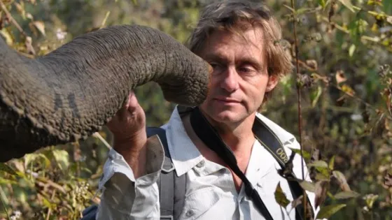 A man interacts with an elephant's trunk in a natural setting.