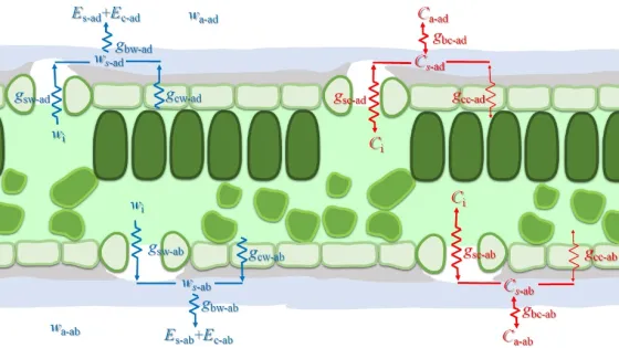 Illustration depicting various green and beige rounded shapes, interconnected with labeled arrows indicating different scientific or technical processes.