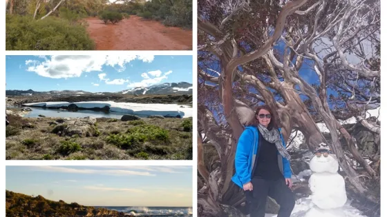 A collage of four landscape photos showing diverse settings: a red dirt road in a forest, snowy terrain with a small snowman, a rocky coastal area with a bridge, and a beach scene with waves breaking on the shore.