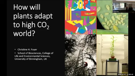 How will plants adapt to a high CO2 world