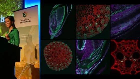 Collage of images depicting a woman presenting at a conference and various colorful microscopic views of plant structures and textbook illustrations of photosynthesis.