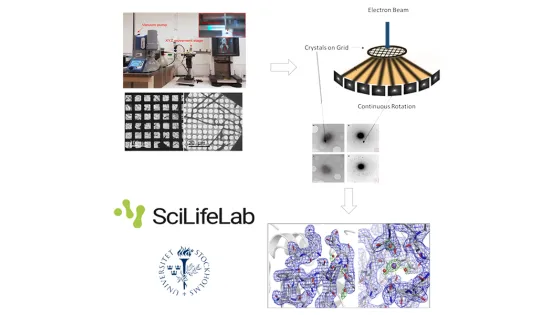 An infographic depicting the process of imaging crystals with an electron microscope, displaying equipment, sample grids, and molecular structure analysis, under SciLifeLab and Stockholm University logos.