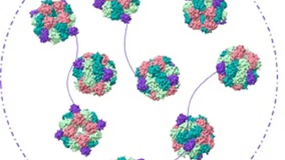 Illustration of multiple colorful, interconnected molecular structures within a dotted circular boundary.