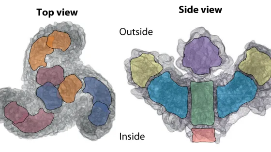 Two images depicting complex, multi-colored shapes labeled "Inside" and "Outside", each composed of sections filled with different colors on a textured gray background.