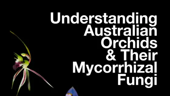 Image supplied by Ryan O'Donnell