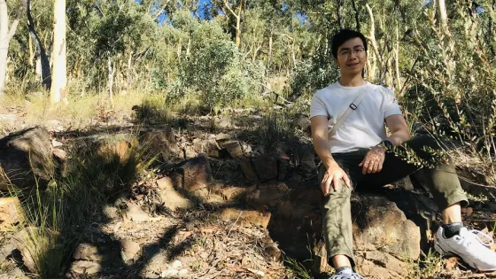 A man sitting on a rock in a sunny, eucalyptus-dotted forest landscape.