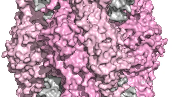 3D molecular model showing a spherical cluster of interconnected proteins with regions highlighted in pink and grey.
