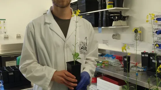 A man in a lab coat and gloves holds a small plant with yellow flowers in a laboratory.