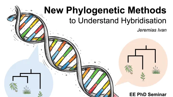 Image supplied by Ivan Jeremias