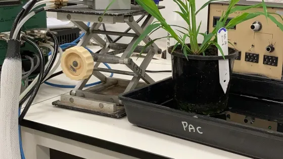 A laboratory setup featuring a robotic arm and various mechanical components focused on a potted plant labeled "Pac".