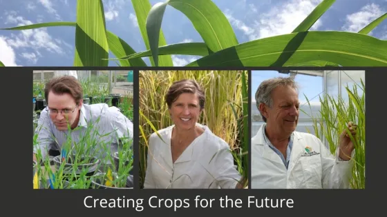 Three scientists are shown examining different crops in a laboratory setting with the title "Creating Crops for the Future."
