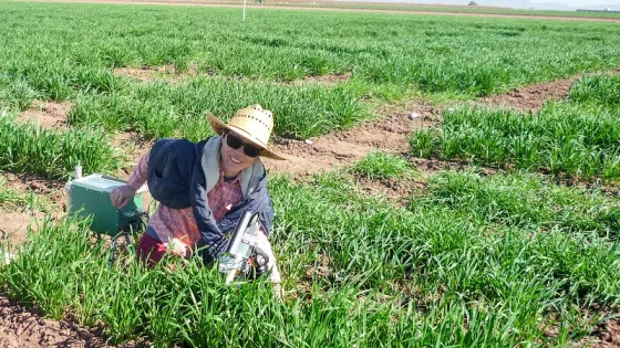 A person smiling at the camera while conducting research in a lush green farm field.