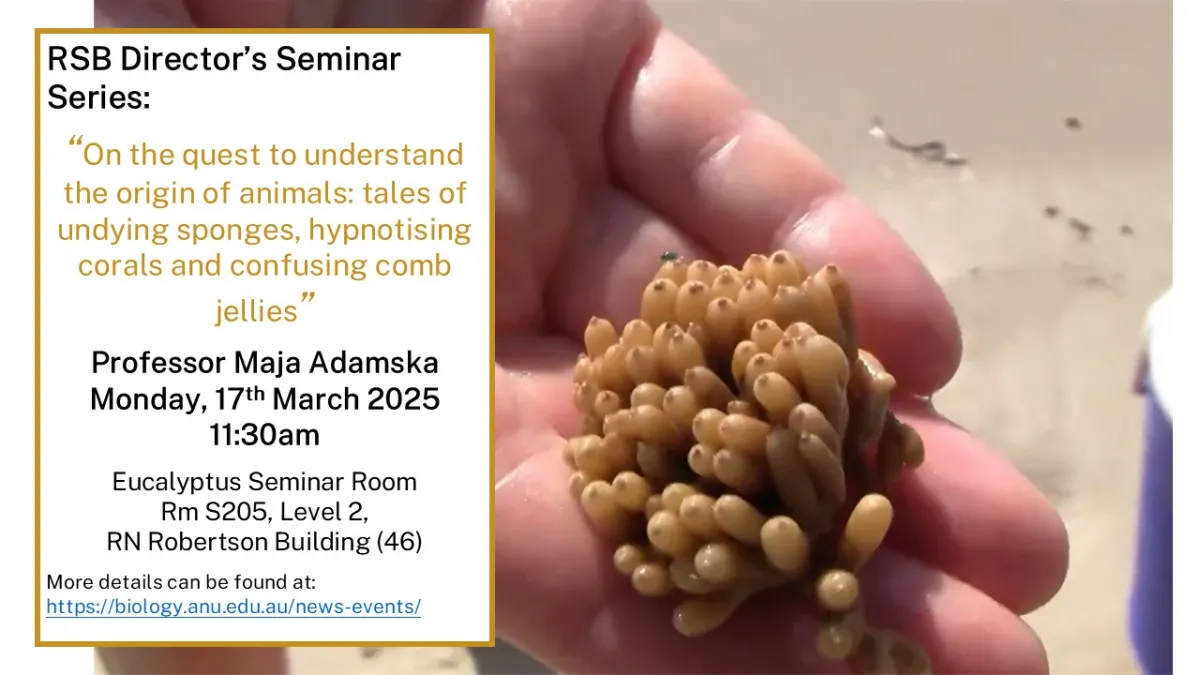 Preview image for the video "Recorded Director's Seminar (Maja Adamska)".