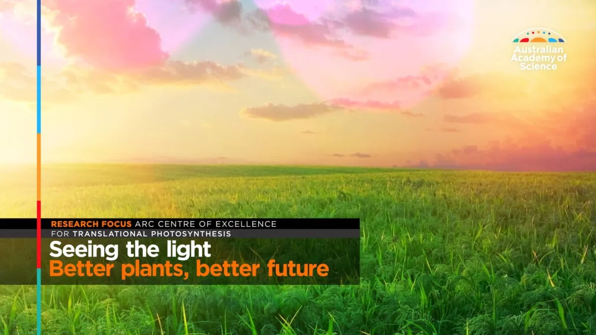 Preview image for the video "Seeing the light: Better plants, better future".