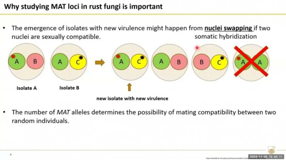 Preview image for the video "Recorded  PS PhD Exit Seminar - Zhenyan Luo".