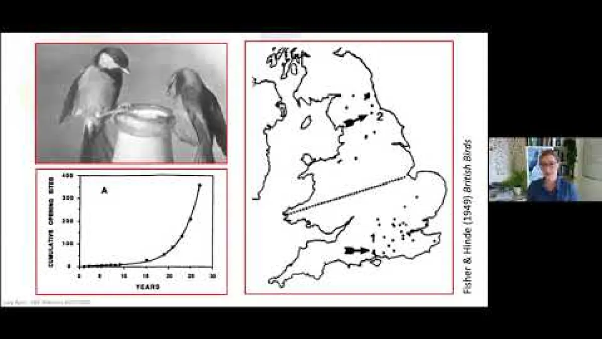 Preview image for the video "Recorded seminar Lucy Aplin E&amp;E".