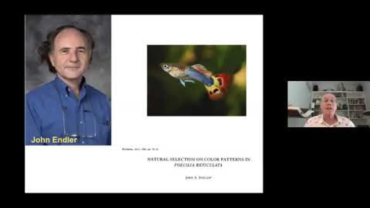 Preview image for the video "Recorded seminar Jonathan Losos".