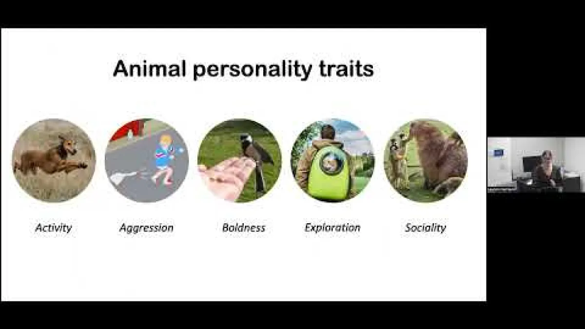 Preview image for the video "Recorded EE Seminar - Lauren Harrison".