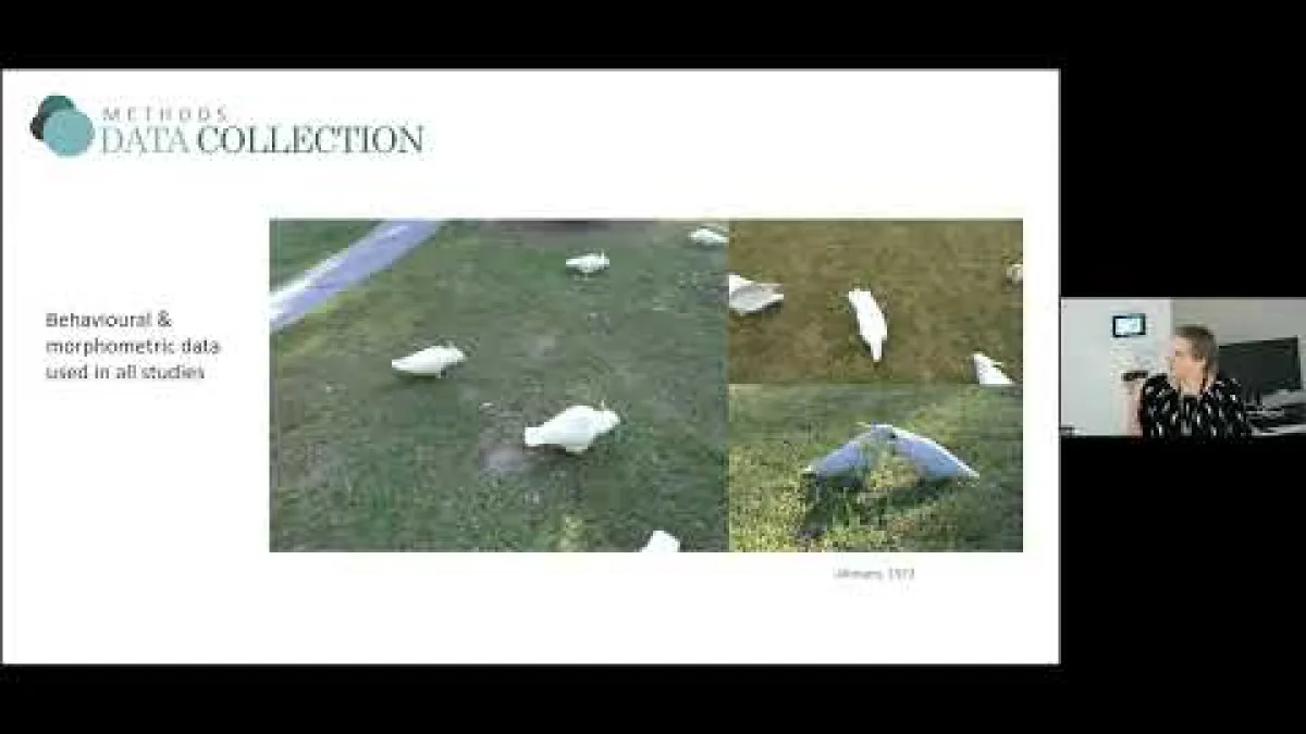 Preview image for the video "Recorded EE Seminar - Julia Penndorf".