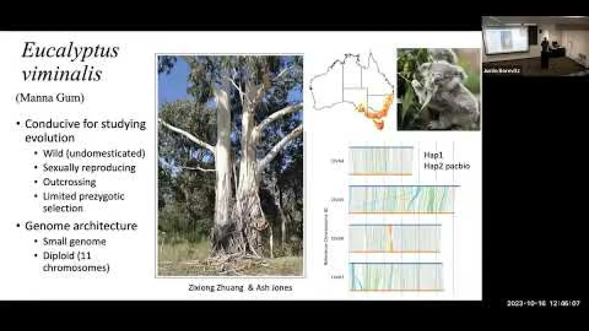 Preview image for the video "Recorded Seminar (Justin Borevitz)".