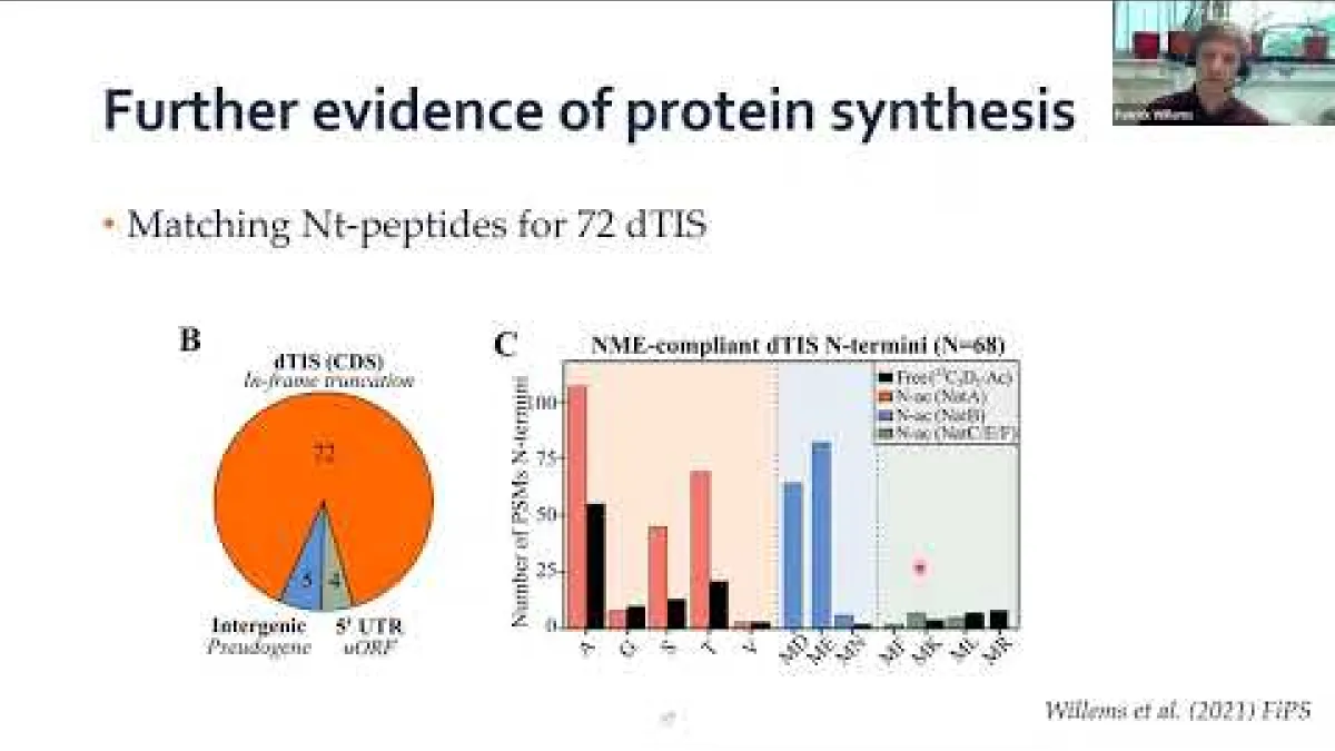 Preview image for the video "Recorded PS Seminar - Patrick Willems".