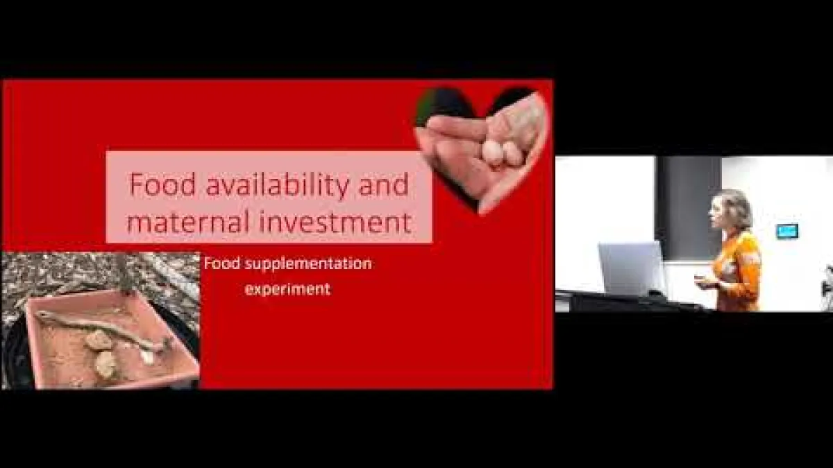 Preview image for the video "Recorded EE Webinar - Claire Taylor".