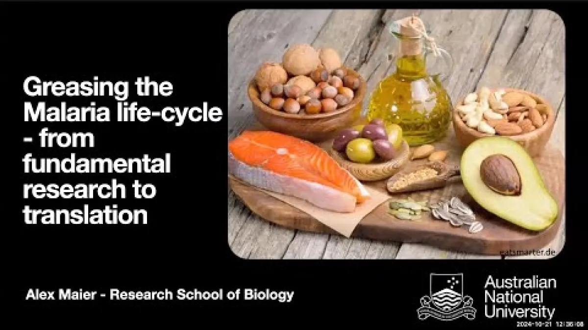 Preview image for the video "Recorded Director's Seminar (Alex Maier)".