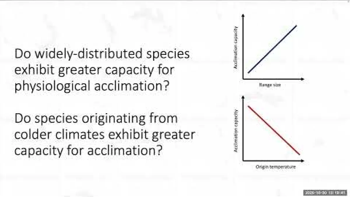 Preview image for the video "Recorded EE Seminar - Josef Garen".