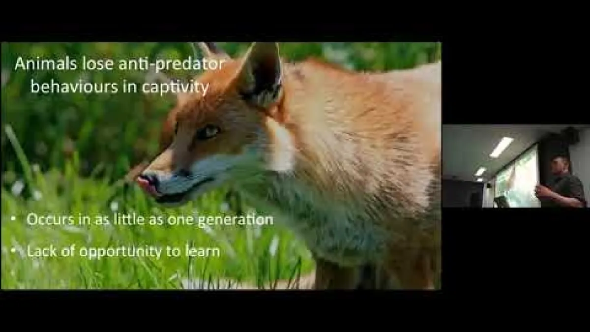 Preview image for the video "Recorded EE Seminar Rowell".