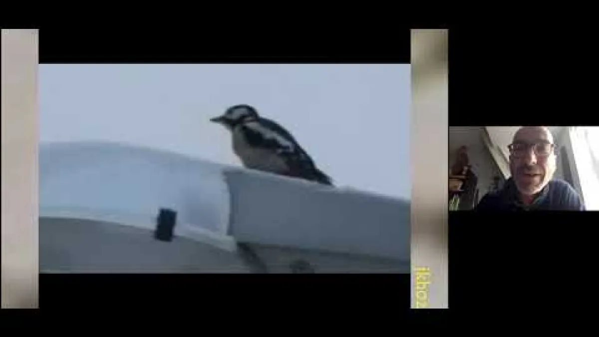 Preview image for the video "Recorded EE Webinar - Schilthuizen".