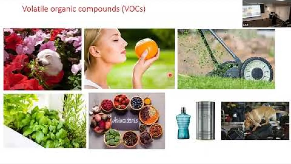 Preview image for the video "Recorded PhD Exit Seminar - Julie Leroux".