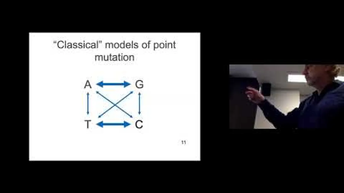 Preview image for the video "Recorded EE Webinar - Helmut Simon".